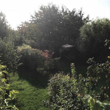 Fewo In Sonniger Lage In Sagard Buitenkant foto