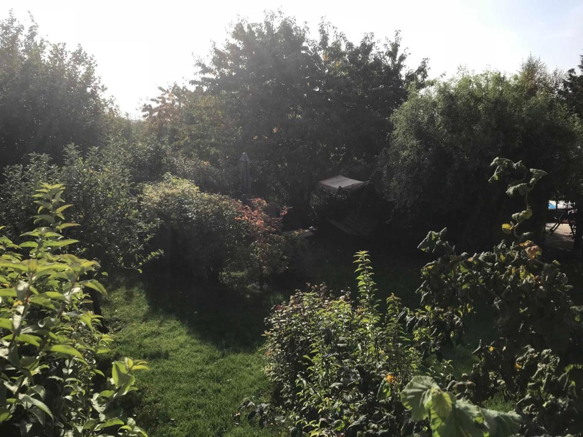 Fewo In Sonniger Lage In Sagard Buitenkant foto